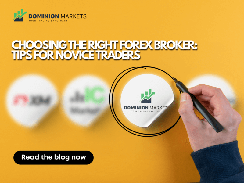 choosing-the-right-forex-broker-tips-for-novice-traders